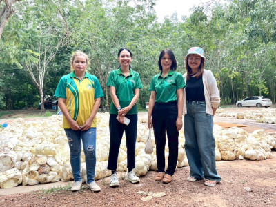 ติดตามการดำเนินธุรกิจรวบรวมผลผลิต (ยางพาราก้อนถ้วย) ... พารามิเตอร์รูปภาพ 1